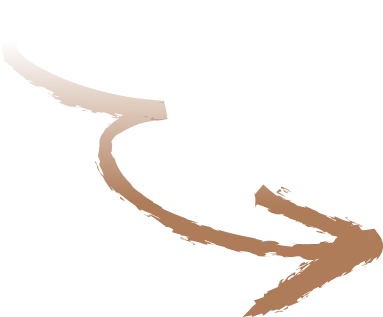 Vector 3